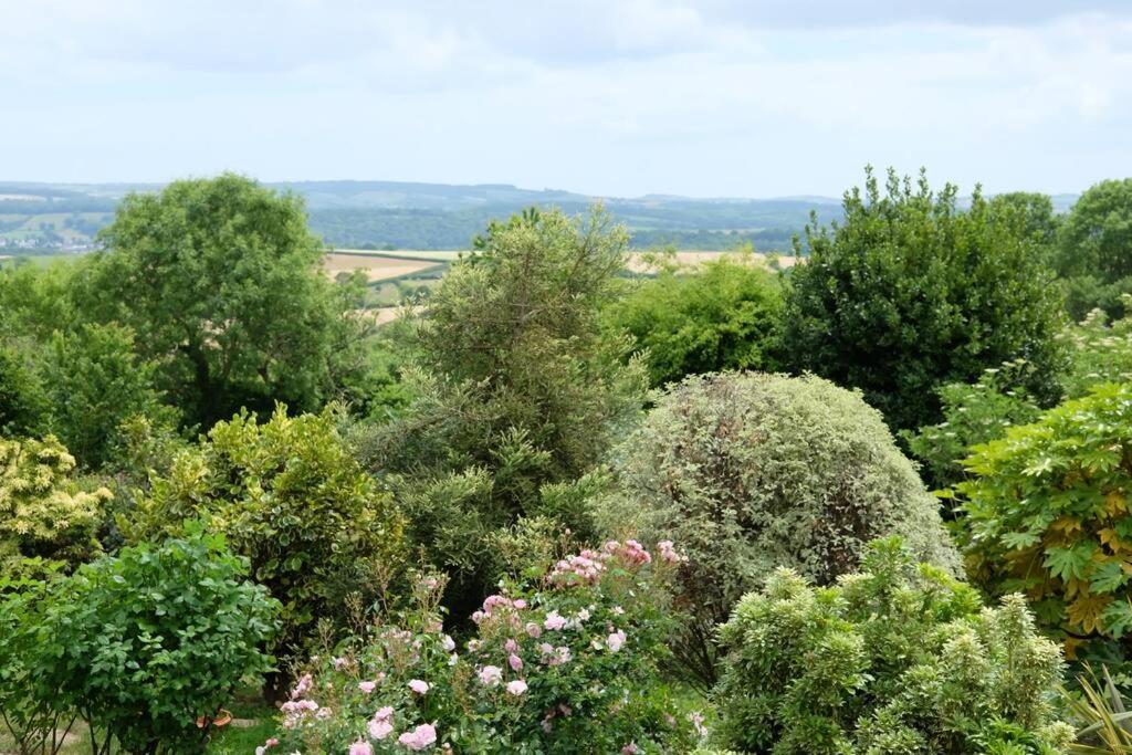 The Dairy - Quaint 1Br In Dartmoor National Park Hennock Exterior foto